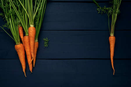 A bunch of raw carrots with green leaves and single carrot on a wooden table. Fresh vegetables on a dark background. Top view. Space for text.の素材 [FY310150674974]