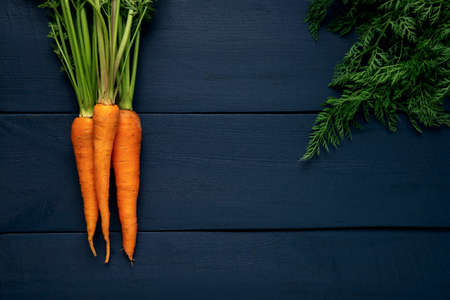 A bunch of raw carrots and green leaves on a wooden table. Fresh vegetables on a dark background. Top view. Space for text.の写真素材