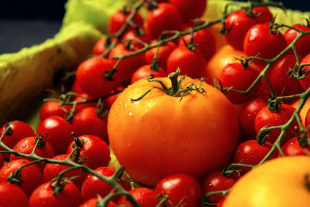 Red wet cherry tomatoes and yellow tomato fruits in black plate on a dark textured background. Top view. Flat lay. Space for text.の写真素材