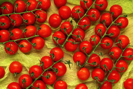 A few trusses of red wet cherry tomatoes on a green gauze background. Top view. Flat lay.の写真素材