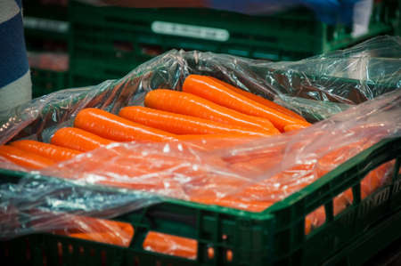 Smooth and attractive washed carrot roots in the plastic bag. Vegetable processing.の写真素材