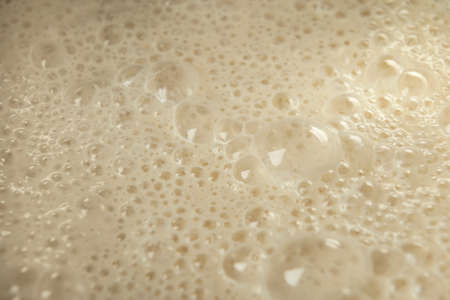 The process of yeast fermentation. Process of making yeast dough. the Adjarian Khachapuri Recipe â Georgian cheese bread.の写真素材