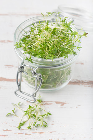 Glass jar with watercress microgreens on the white wooden textured backgroundの写真素材