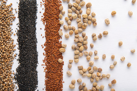 Cabbage, watercress, coriander, basil, nasturtium seeds on the white textured backgroundの写真素材