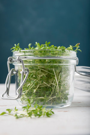 Glass jar with watercress microgreens on the white wooden table and blue backgroundの写真素材
