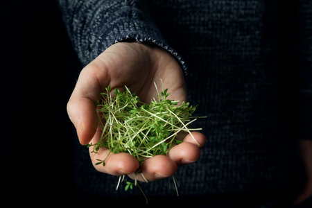Male hands hold watercress microgreens on the dark backgroundの写真素材