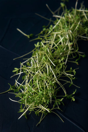 Heap of watercress microgreens on the dark textured backgroundの写真素材