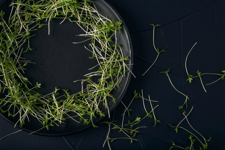 Black plate with watercress microgreens on the dark textured background. Top view.