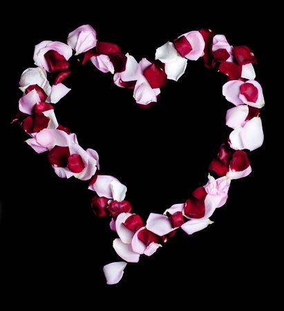 A heart of red rose petalsの写真素材
