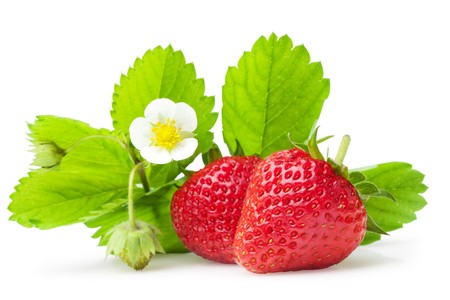 Fresh strawberry object on a white backgroundand with soft shadowの写真素材