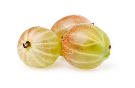 gooseberry, on a white backgroundの写真素材