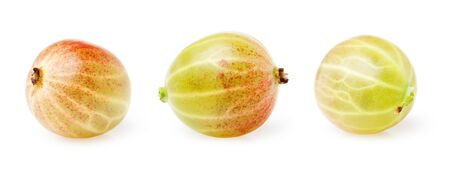 gooseberry, on a white backgroundの写真素材