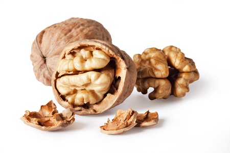 walnut and a cracked walnut isolated on the white background の写真素材