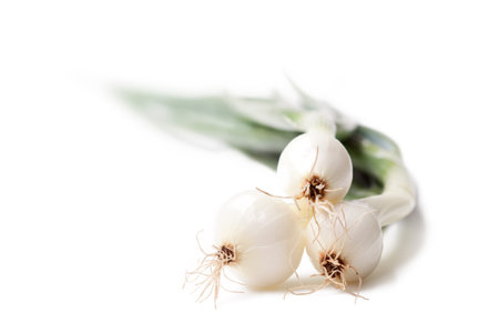 Three bulbs spring onions on white background