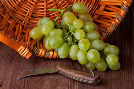 Close-up of a bunch of grapesの写真素材