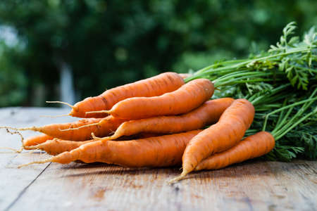 fresh carrots bunch on woodの写真素材