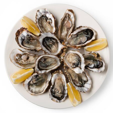 Fresh oysters on a plateの写真素材