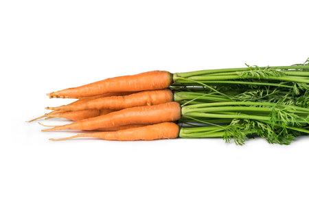 Carrot isolated on a withe backgroundの写真素材