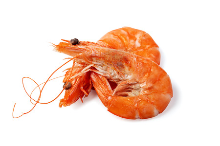 shrimp isolated on a white backgroundの写真素材