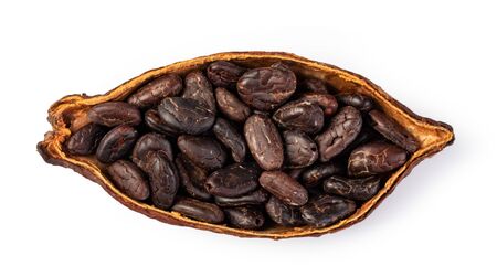 Cocoa Pod And Beans isolated on white backgroundの写真素材