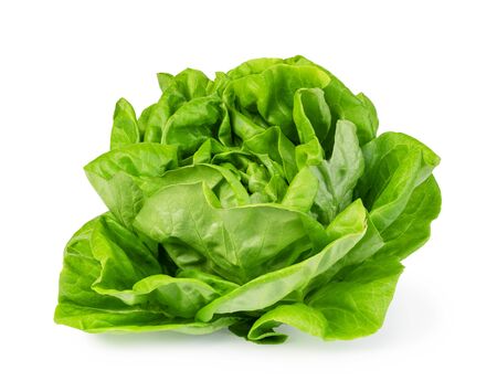 green butter lettuce vegetable or salad isolated on white backgroundの写真素材