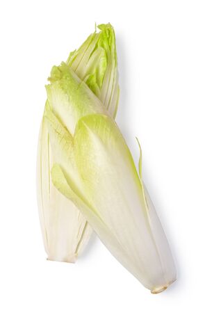Fresh endive on white backgroundの写真素材