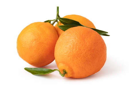 Ripe mandarines isolated on white backgroundの写真素材