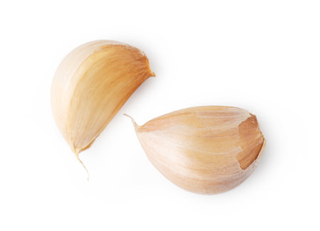 Garlic Isolated on white backgroundの写真素材