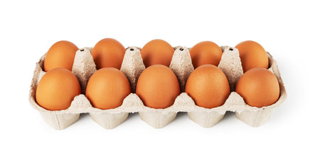 chicken egg isolated on white backgroundの写真素材