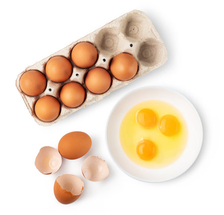 chicken egg on white backgroundの写真素材