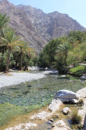 Warm springs of Ain A'Thawwarah, Oman.の写真素材