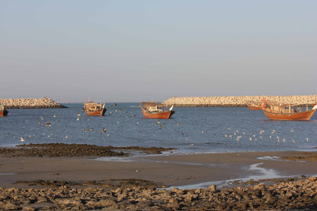 Fishing boats