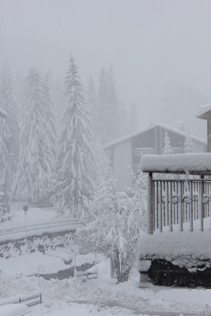 Madesimo, Italy: tree branches and houses covered with snow in a foggy winter dayの写真素材