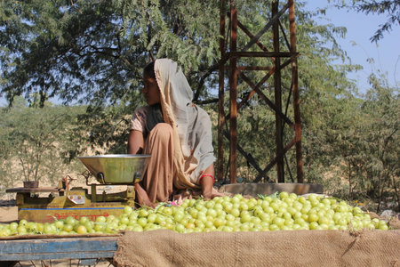 PUSHKAR, INDIA: Beautiful Indian girl selling yellow tomatoes on the streetのeditorial素材