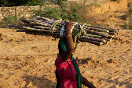 PUSHKAR, INDIA: Indian woman walking on the street carrying trunk on her headの写真素材