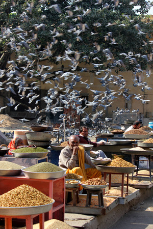 JAIPUR, INDIA: Daily street market in Jaipur, with people selling cereal and many birds around them flying or standing on the floorのeditorial素材