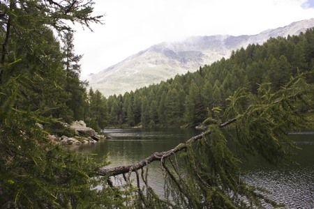 MADESIMO, ITALY - AUG 18 2014: Scenic view of Lago Azzurro (Blue Lake), a lake through trees in the high mountains in Italyのeditorial素材