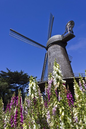 SAN FRANCISCO, USA - AUGUST 13 2013: San Francisco Dutch Windmill, Located on the western edge of Golden Gate Park, with colorful flowersのeditorial素材