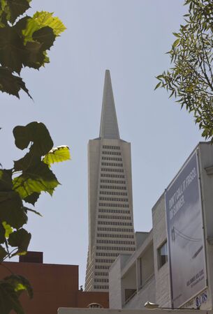 SAN FRANCISCO, USA - AUG 12 2013: Architectural detail of The Transamerica Pyramid, the tallest skyscraper in the San Francisco skyline, through treesのeditorial素材