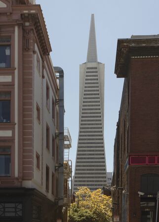 SAN FRANCISCO, USA - AUG 12 2013: Architectural detail of The Transamerica Pyramid, the tallest skyscraper in the San Francisco skylineのeditorial素材