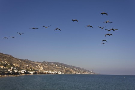 MALIBU, USA - AUG 16 2013: Flock of Pelican flying over the Malibu Coast in a sunny day in the summerの写真素材