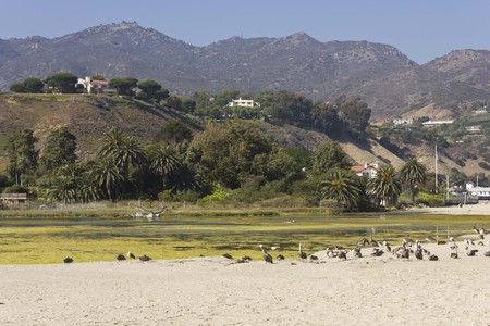 MALIBU, USA - AUGUST 16 2013: Malibu hills landscape in the summer, through palms and isolated villas from its Lagoon and pelicans on the beachの写真素材