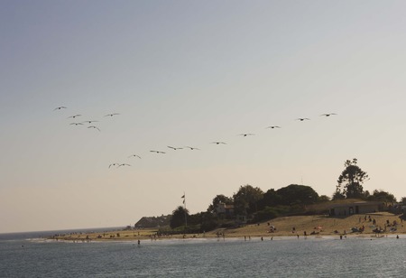 MALIBU, USA - AUG 16 2013: Flock of Pelican flying over the Malibu Coast at sunset in the summerの写真素材