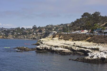 SAN DIEGO, USA - AUGUST 21 2013: Sea Lions on California coastline with La Jolla cityscapeのeditorial素材