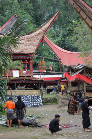 TANA TORAJA, INDONESIA - JULY 3 2012: Torajan People at a funeral ceremony in Indonesia, walking...