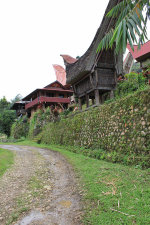 PALAWA, INDONESIA - JULY 3 2012: Traditional Torajan Architecture, path to go to the village with tongkonan architecture houseのeditorial素材