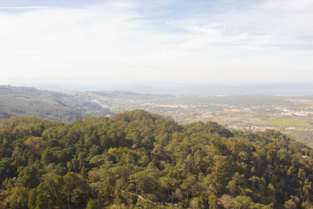 Sintra valley as seen from the top of the hill, Portugalの写真素材