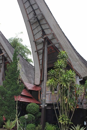 PALAWA, INDONESIA - JULY 3 2012: typical Torajan ethnicity ancestral houses, called Tongkonan, in a dull dayのeditorial素材