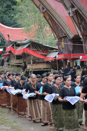 TANA TORAJA, INDONESIA - JULY 3 2012: Women procession at a traditional funeral ceremony, with typical tongkonan house in the backgroundのeditorial素材