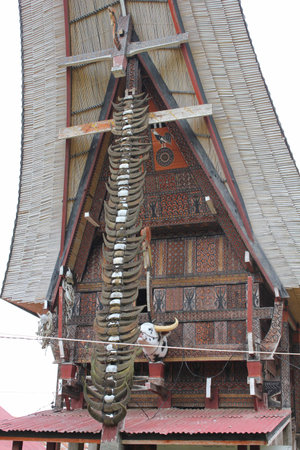 PALAWA, INDONESIA - JULY 3 2012: typical Torajan ethnicity ancestral houses, called Tongkonan, in a dull dayのeditorial素材